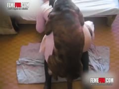 Mad husband laughs when his slut wife gets anal fucked by their dog